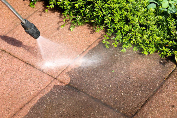 Professional Pressure Washing in Chesapeake, VA